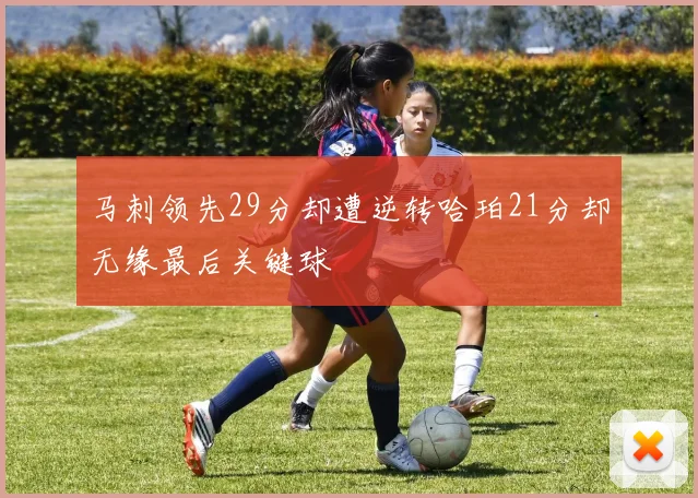 马刺领先29分却遭逆转哈珀21分却无缘最后关键球